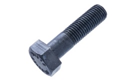 БОЛТ М24х100



