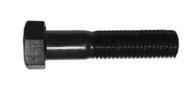 БОЛТ М24х170



