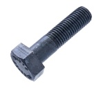 БОЛТ М20х75





